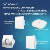 Вентилятор вытяжной Ballu BAFS-100